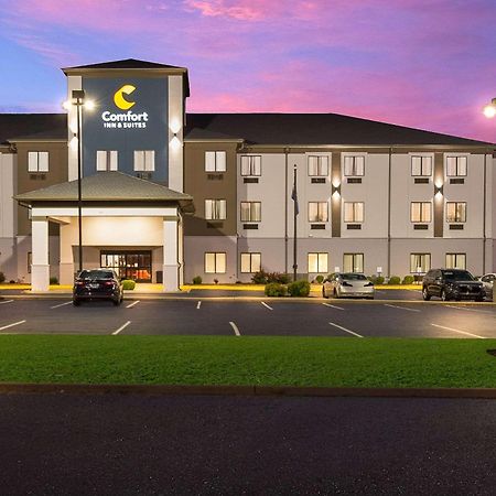 Comfort Inn & Suites Cave City Εξωτερικό φωτογραφία