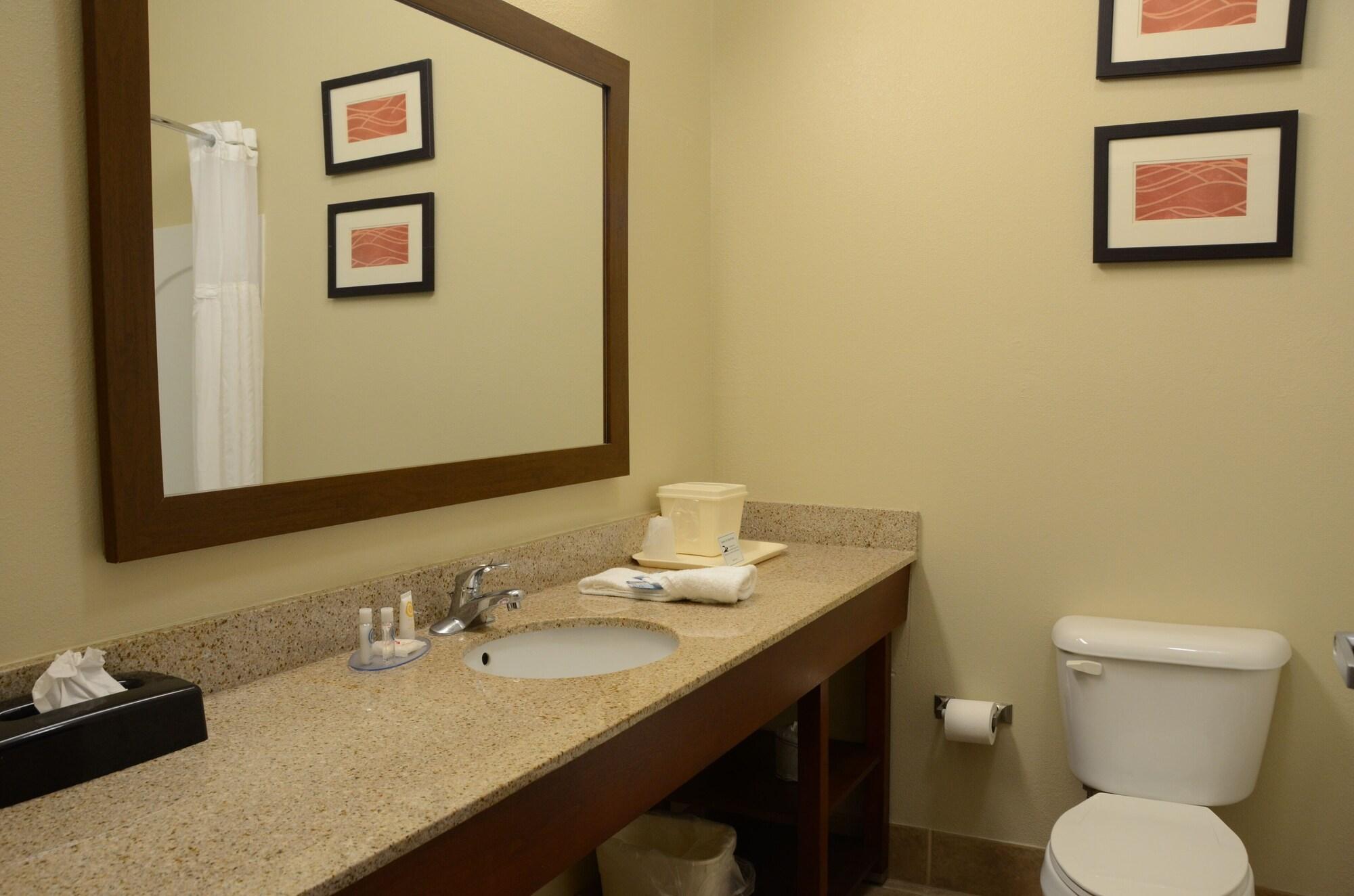 Comfort Inn & Suites Cave City Εξωτερικό φωτογραφία